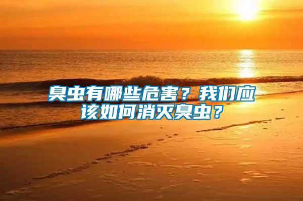 臭蟲有哪些危害？我們應該如何消滅臭蟲？