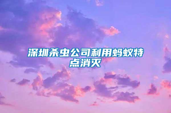 深圳殺蟲公司利用螞蟻特點消滅