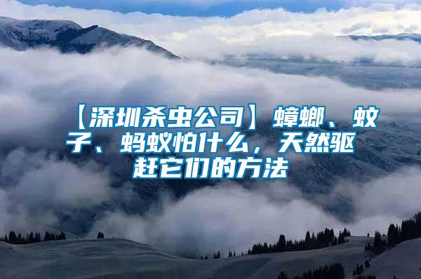 【深圳殺蟲公司】蟑螂、蚊子、螞蟻怕什么，天然驅趕它們的方法