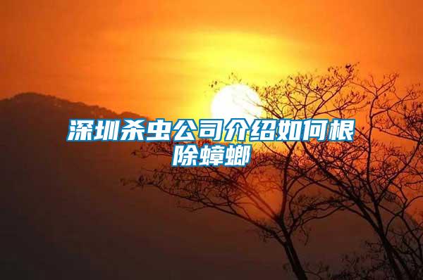 深圳殺蟲公司介紹如何根除蟑螂