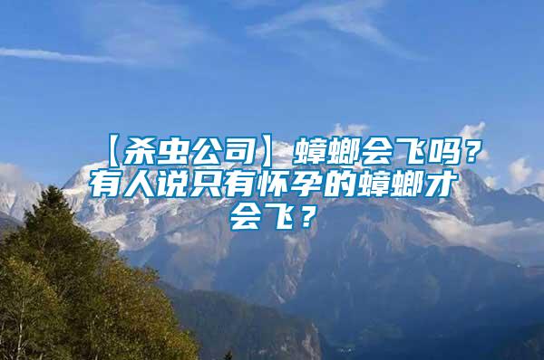 【殺蟲公司】蟑螂會飛嗎？有人說只有懷孕的蟑螂才會飛？