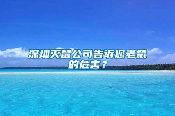 深圳滅鼠公司告訴您老鼠的危害？