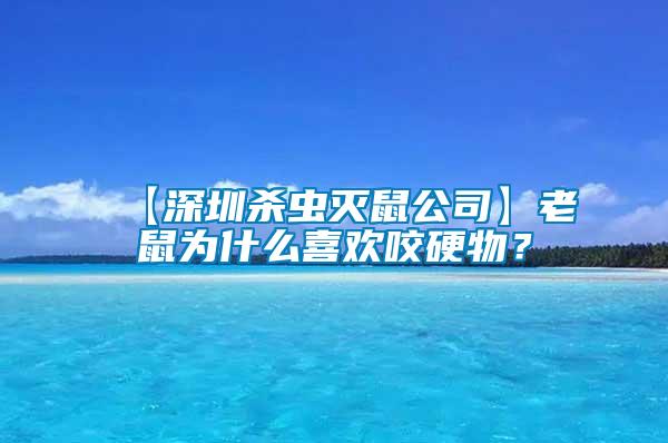 【深圳殺蟲滅鼠公司】老鼠為什么喜歡咬硬物？