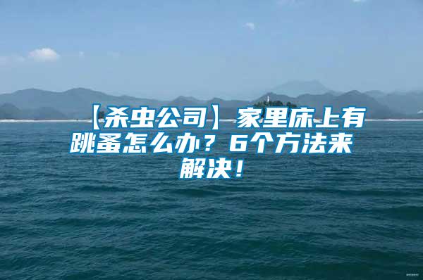 【殺蟲公司】家里床上有跳蚤怎么辦？6個方法來解決！