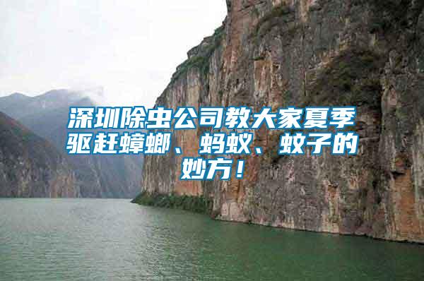 深圳除蟲公司教大家夏季驅趕蟑螂、螞蟻、蚊子的妙方！