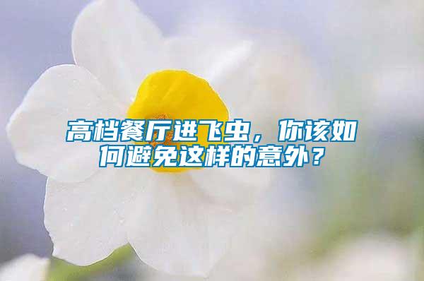 高檔餐廳進飛蟲，你該如何避免這樣的意外？