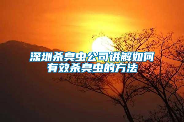 深圳殺臭蟲公司講解如何有效殺臭蟲的方法