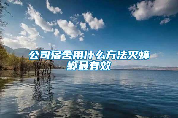 公司宿舍用什么方法滅蟑螂最有效