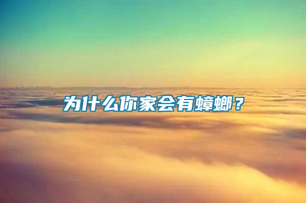 為什么你家會有蟑螂？