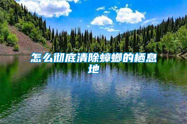 怎么徹底清除蟑螂的棲息地