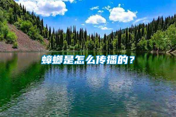 蟑螂是怎么傳播的？