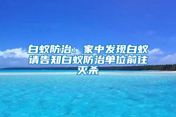 白蟻防治：家中發現白蟻請告知白蟻防治單位前往滅殺