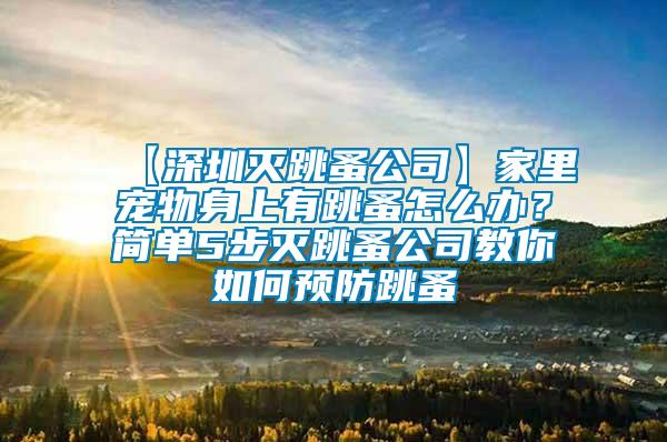 【深圳滅跳蚤公司】家里寵物身上有跳蚤怎么辦？簡單5步滅跳蚤公司教你如何預防跳蚤