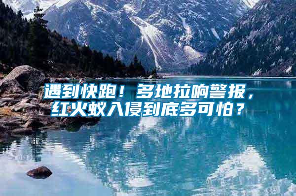 遇到快跑！多地拉響警報，紅火蟻入侵到底多可怕？