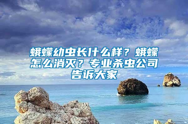 蛾蠓幼蟲長什么樣？蛾蠓怎么消滅？專業殺蟲公司告訴大家