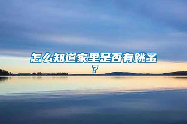 怎么知道家里是否有跳蚤？