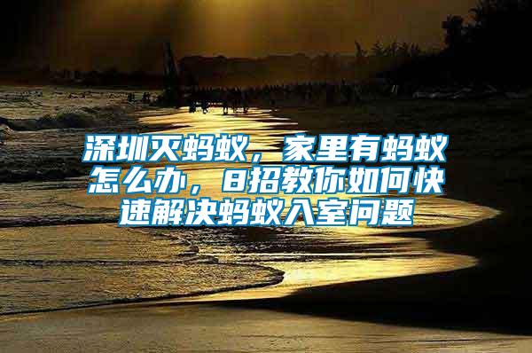 深圳滅螞蟻，家里有螞蟻怎么辦，8招教你如何快速解決螞蟻入室問題