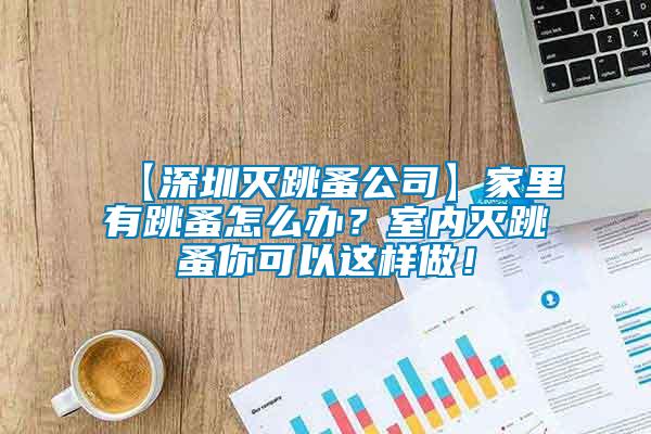 【深圳滅跳蚤公司】家里有跳蚤怎么辦？室內滅跳蚤你可以這樣做！