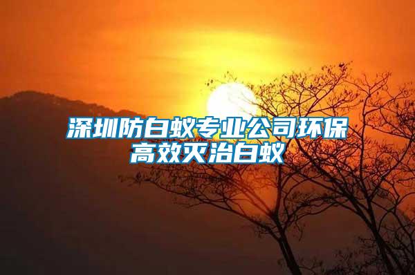 深圳防白蟻專業公司環保高效滅治白蟻