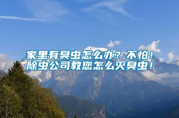 家里有臭蟲怎么辦？不怕！除蟲公司教您怎么滅臭蟲！