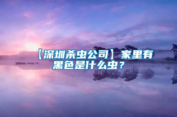 【深圳殺蟲公司】家里有黑色是什么蟲？