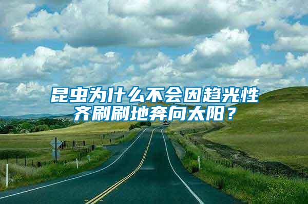 昆蟲為什么不會因趨光性齊刷刷地奔向太陽？