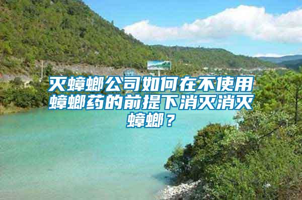 滅蟑螂公司如何在不使用蟑螂藥的前提下消滅消滅蟑螂？