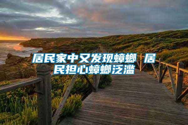 居民家中又發現蟑螂 居民擔心蟑螂泛濫