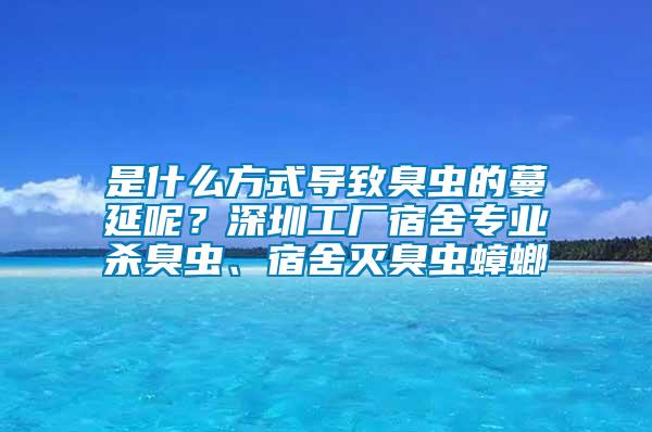 是什么方式導致臭蟲的蔓延呢？深圳工廠宿舍專業殺臭蟲、宿舍滅臭蟲蟑螂