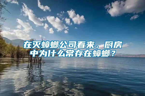 在滅蟑螂公司看來，廚房中為什么常存在蟑螂？