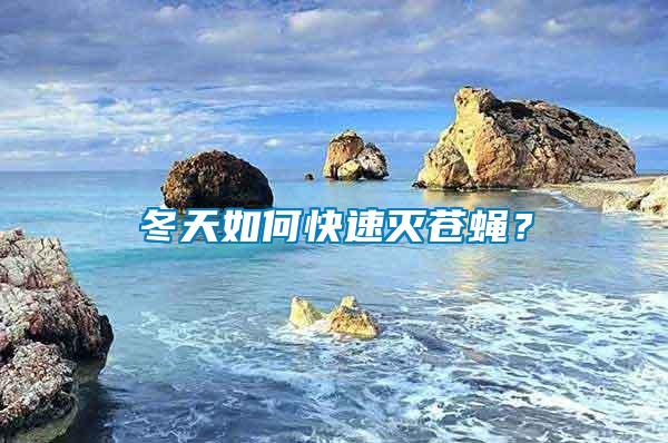 冬天如何快速滅蒼蠅？