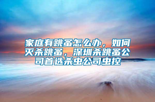 家庭有跳蚤怎么辦，如何滅殺跳蚤，深圳殺跳蚤公司首選殺蟲公司蟲控