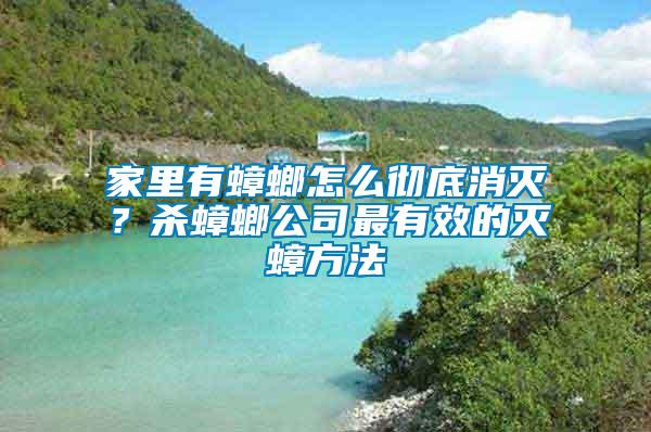 家里有蟑螂怎么徹底消滅？殺蟑螂公司最有效的滅蟑方法