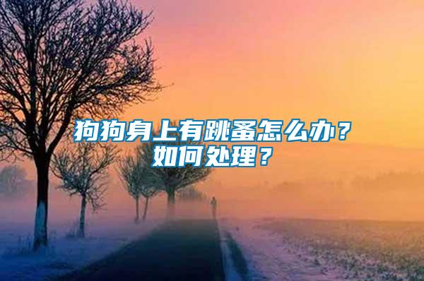 狗狗身上有跳蚤怎么辦？如何處理？