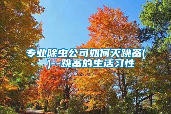 專業除蟲公司如何滅跳蚤(一)--跳蚤的生活習性