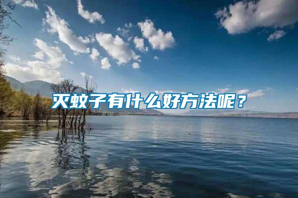 滅蚊子有什么好方法呢？