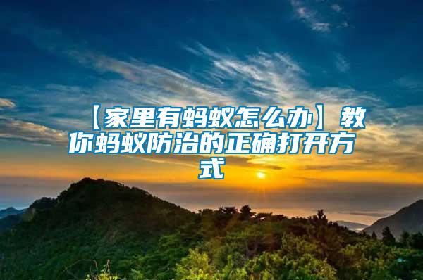 【家里有螞蟻怎么辦】教你螞蟻防治的正確打開方式