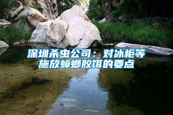 深圳殺蟲公司：對冰柜等施放蟑螂膠餌的要點