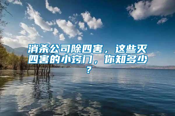 消殺公司除四害，這些滅四害的小竅門，你知多少？