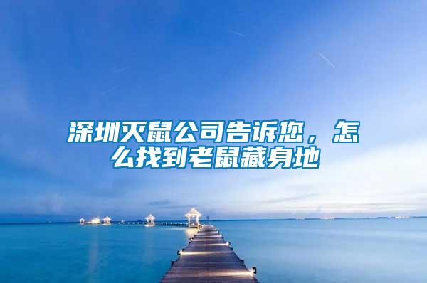 深圳滅鼠公司告訴您，怎么找到老鼠藏身地