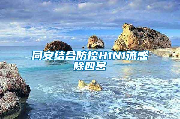 同安結合防控H1N1流感除四害