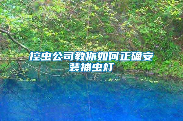 控蟲公司教你如何正確安裝捕蟲燈