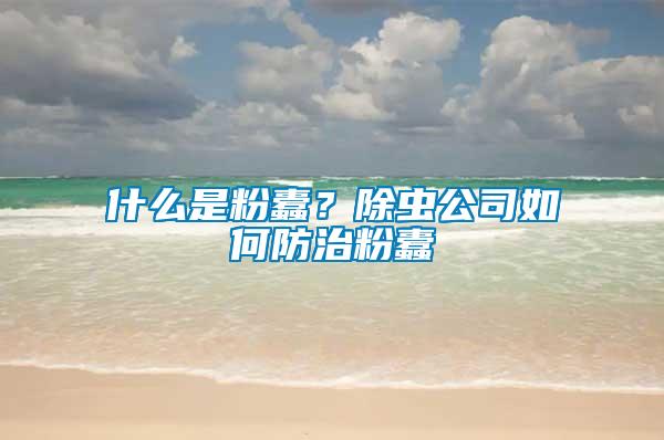 什么是粉蠹？除蟲公司如何防治粉蠹