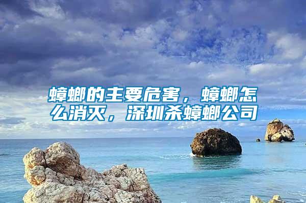 蟑螂的主要危害，蟑螂怎么消滅，深圳殺蟑螂公司