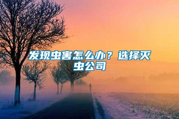 發現蟲害怎么辦？選擇滅蟲公司