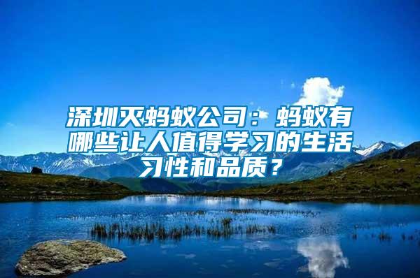 深圳滅螞蟻公司：螞蟻有哪些讓人值得學習的生活習性和品質？