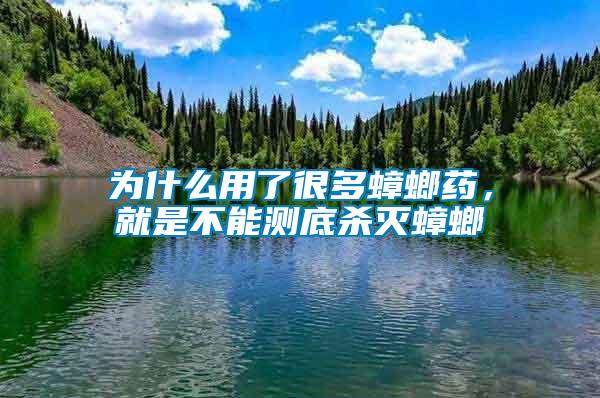 為什么用了很多蟑螂藥，就是不能測底殺滅蟑螂