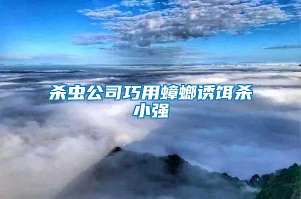 殺蟲公司巧用蟑螂誘餌殺小強