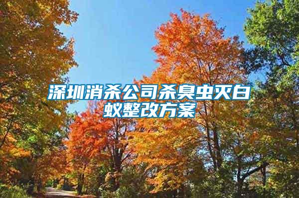 深圳消殺公司殺臭蟲滅白蟻整改方案