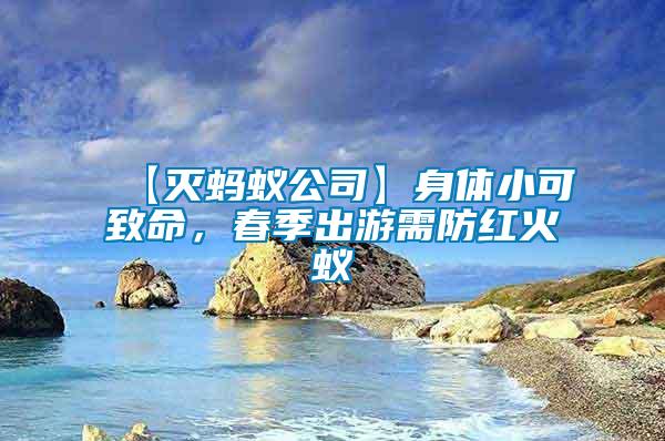 【滅螞蟻公司】身體小可致命，春季出游需防紅火蟻